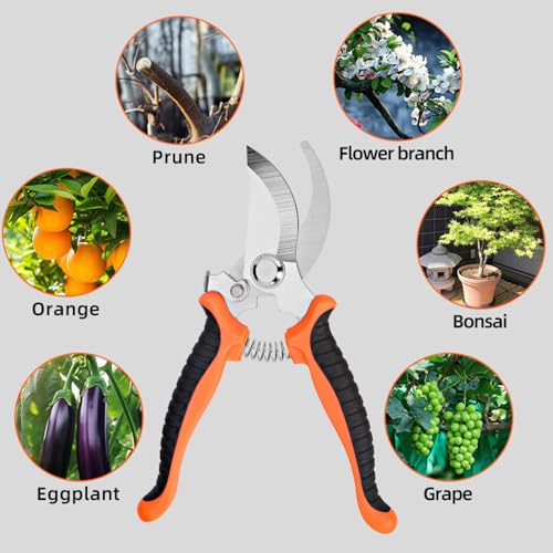 Set de 2 Tijeras de Poda para Jardín de Acero Inoxidable miniatura 6