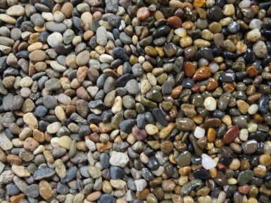 金華 1分 10kg (水槽用底砂利)※お取り寄せ商品