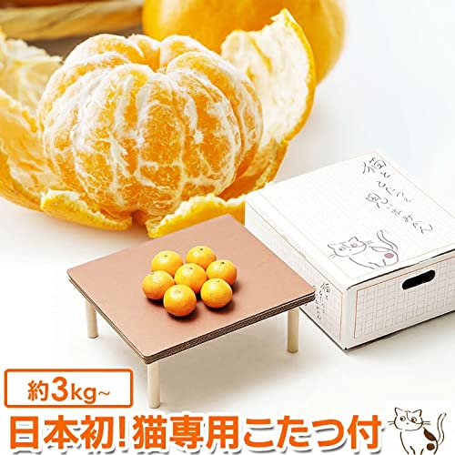 こたつみかん✩✩✩ Amazon.co.jp: 予約『 猫と、こたつと、思い出みかん。』猫専用こたつ