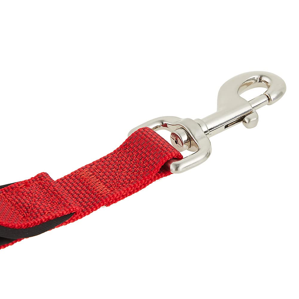 kong double handle leash
