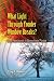 What Light Through Yonder Window Breaks?: More Experiments in Atmospheric Physics (Dover Science Books)