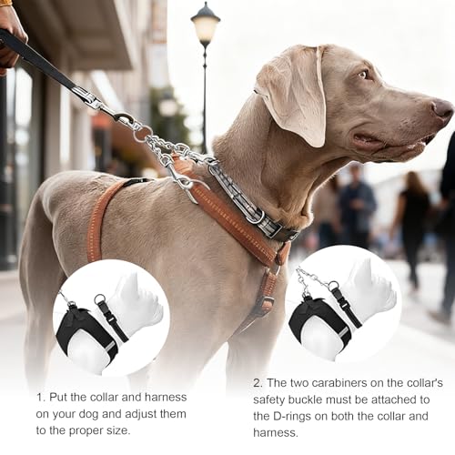 Xindojuz 8.3 Inches Dog Harness Collar Leash Connector, Harness to Collar Safety Clip, Metal Stainless Steel Heavy Duty Dual Clasps Leash Backup Clip for Prong Collars, Escape-Proof Safety Accessory - Image 5