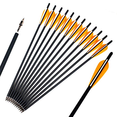 Kikzok 12 Pack Crossbow Bolts Carbon Arrows,16/18/20/22 Inch Hunting Archery Bio Crossbow Arrows With Moon Nocks, Removable Arrowhead Tips (16 Inch) #TOP2