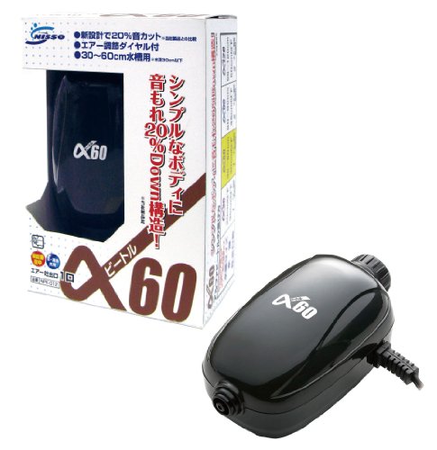 jb\[ GA[|v r[g 60 2W