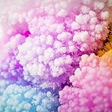 Tobar Magic Tree Crystal Growing Activity Set - Image 3