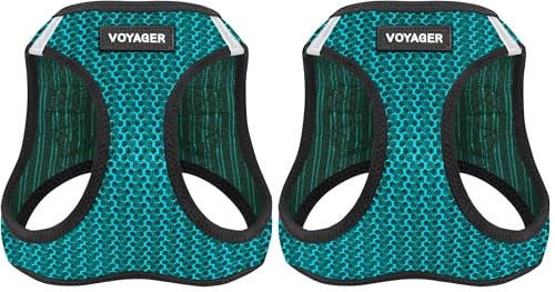 Image of Voyager Step-in Air Dog Harness - All Weather Mesh, Reflective, No Pull Harness for Small, Medium Dogs, Cats - Secure with Hook & Loop Fastener, Buckle, Double D-Rings - Turquoise 2-Tone, XS