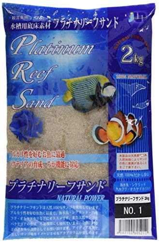 小型水槽で海水魚を飼ってみよう おすすめ商品と飼いやすい魚を紹介 トロピカ