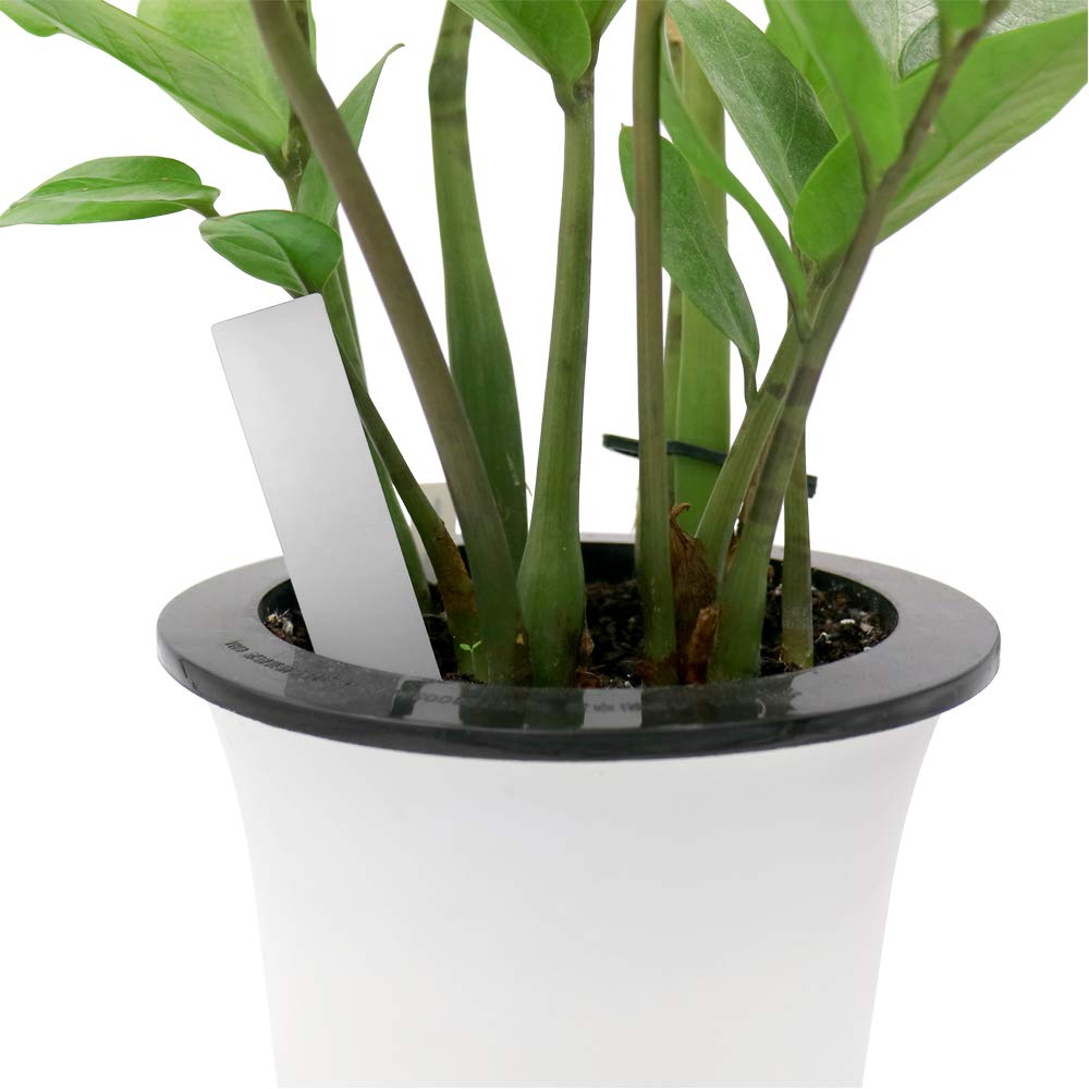 1000 Etichette Per Piante In PVC 10x2cm - Targhette Bianche Impermeabili Per Giardino E Orto - Foto 4