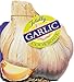 Totally Garlic Cookbook (Totally Cookbooks Series)