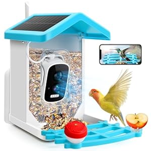 Bird Feeder with Camera, 2K HD AI Identify Bird Species & 64G SD Card, Smart Bird House with Cam, Solar Bird Feeder Camera, Bird Watching Camera, Auto Capture Bird Videos, Gifts for Bird Lovers Bird Feeder with Camera 2K HD AI Identify Bird Species 64G SD Card Smart Bird House with Cam Solar Bird Feeder Camera Bird Watching Camera Auto Capture Bird Videos Gifts for Bird Lovers