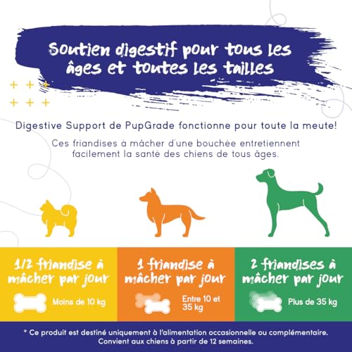 PupGrade Soutien Digestif pour Chiens – Aliment Complémentaire 8 Ingrédients Actifs – Maux Estomac, Diarrhée, Intestins, Soutien Immunitaire – Citrouille, Myrtille, Huile Lin – 30 Friandises Molles – Image 6