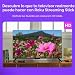 Imagen de Roku® Streaming Stick