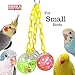 Bonka Bird Toys 1467 Ball Clanger Plastic Colorful Noisy Rattle Parrot Parrotlet Parakeet Budgie