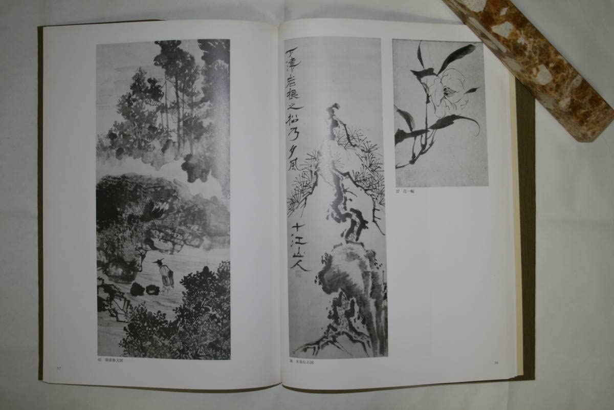 Amazon.co.jp: 古書 「林十江」 図録 板橋区立美術館 昭和63年4月開催