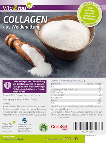 Vita2You Collagen Pulver 1kg - Bioaktives Kollagen - 100% CollaSel Pro® - aus Weidehaltung und Grasfütterung - Hydrolysat Peptide Typ 1 und 3 - Eiweiss -1000g - Premium Qualität