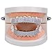 ASLLRISONY Unisex Gold-Plated Brass Hip Hop Imitation Diamond Fang Vampire Grillz, Halloween Costume Accessory Cosplay, 8 Top and Bottom Set Teeth Grillz with Extra Molding Bars