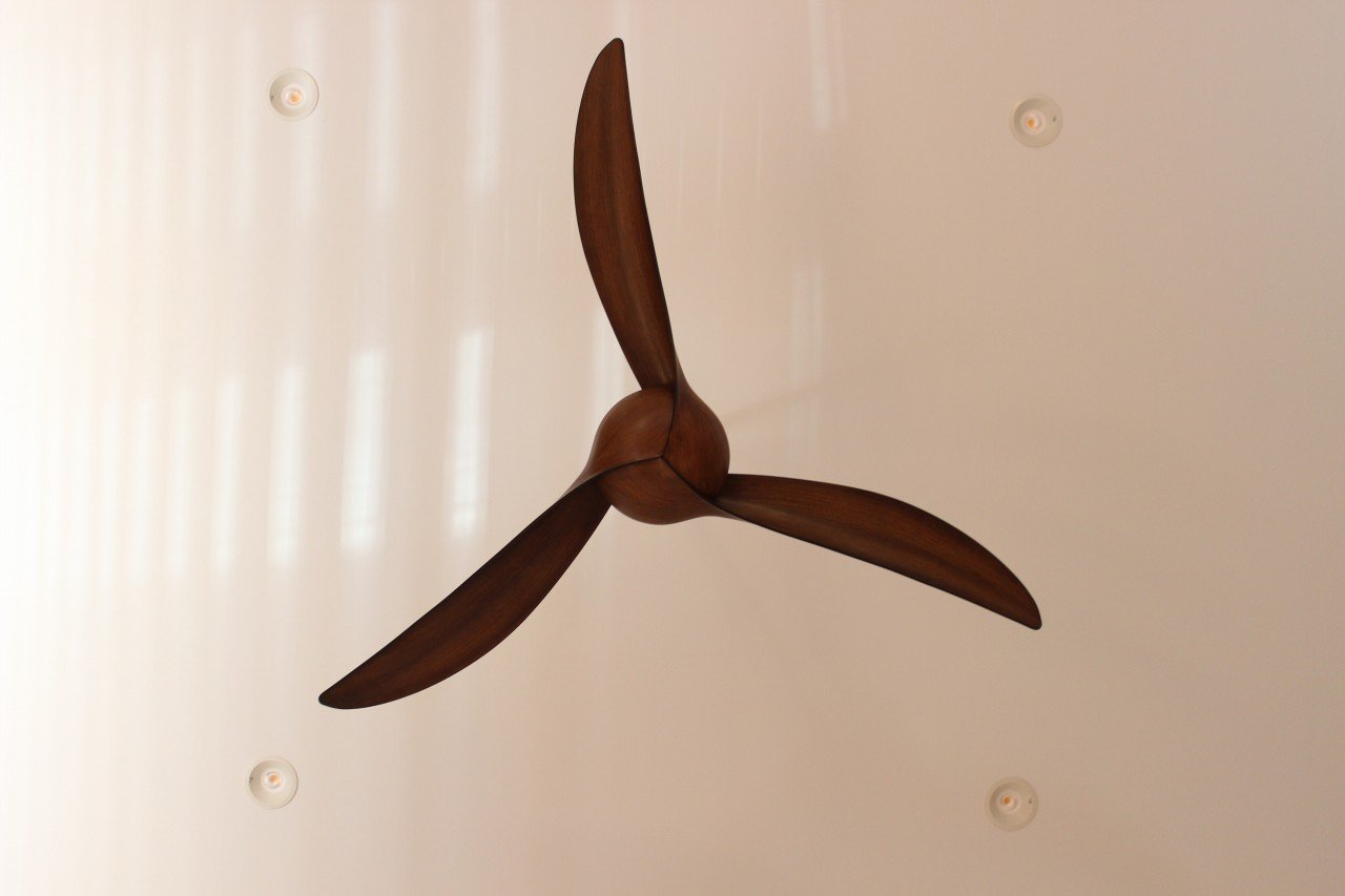 Amazon | MINKA Aire ミンカ エアーシーリングファン WAVE F843-DK