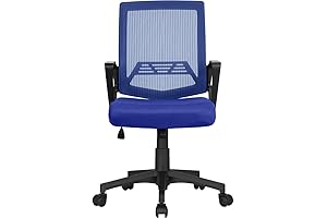 Yaheetech Blue Executive Office Desk Chair with Lumbar Support and Armrests