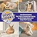 SilverWorks! Pet Odor Eliminator Spray For Home - Safe, Natural, Silver Ion Deodorizer - Cat, Dog Smell And Urine Odor Eliminator For Carpet, Furniture And Litter -16.9oz