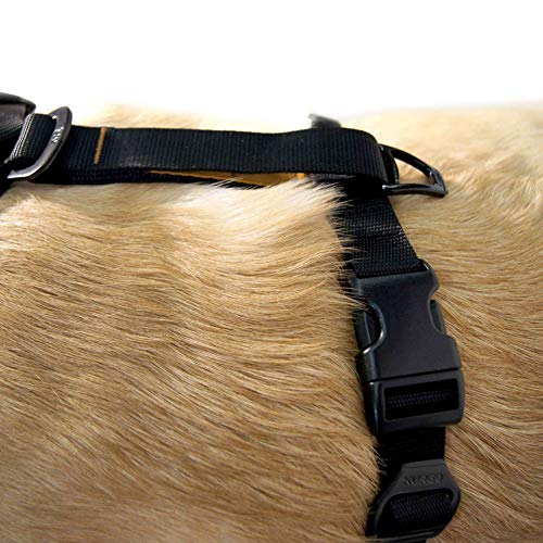Kurgo Tru-Fit Smart Hundegeschirr, Mit gepolstertem Brustteil und D-Ring, Inklusive Autosicherheitsgurt, Größe XS, Schwarz