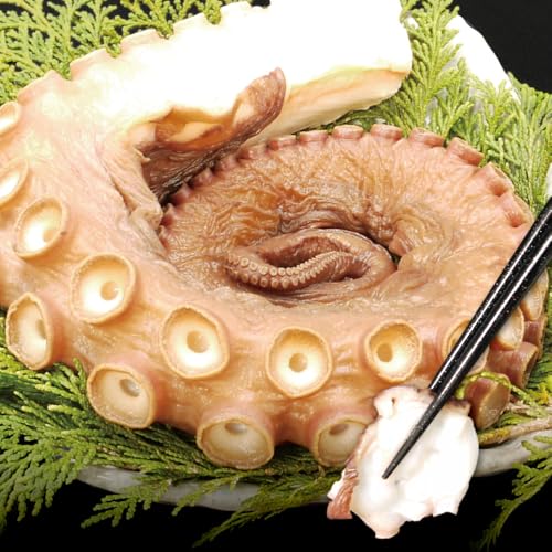 kCY hgp {C  1{ 500gO Iz[cNCY   h  XCX  ^pbN 񂹃Mtg m[uhi