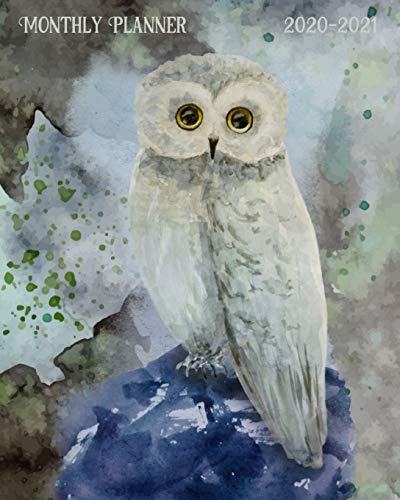 2020-2021 Monthly Planner: Watercolor Owl Cover - LARGE 24 Months Calendar - 2 Year Diary Journal - 