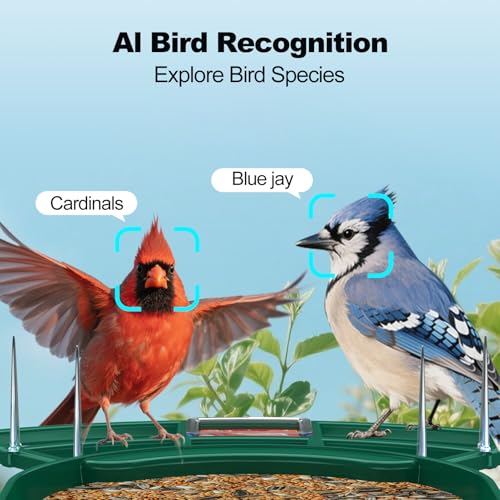 Image of Fazoxo Bird Feeder with Camera,Birds House Camera,Solar Powered,AI Bird ID
