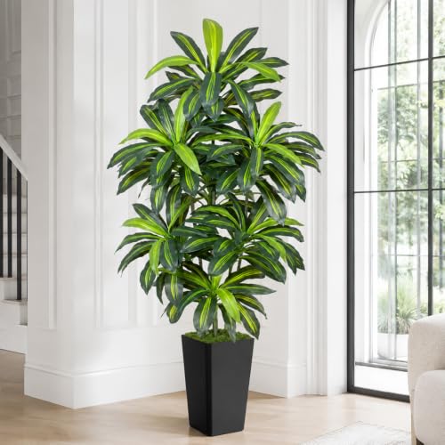 Image of 7FT Artificial Dracaena Tree - High-Density Foliage Fake Plant with Black Tall Planter - Faux Yucca Floor Plant for Home Office Decor Indoor