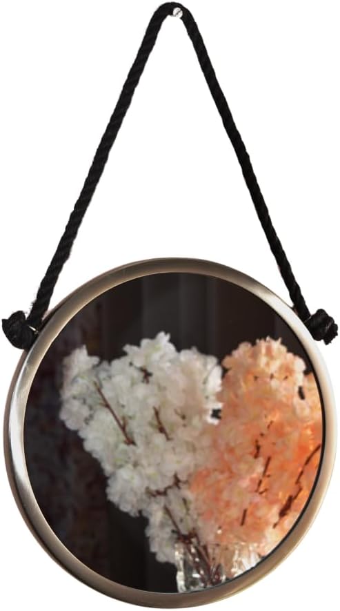 Rolli Small Brushed Silver Rope Mirror with Nickel & Black Rope