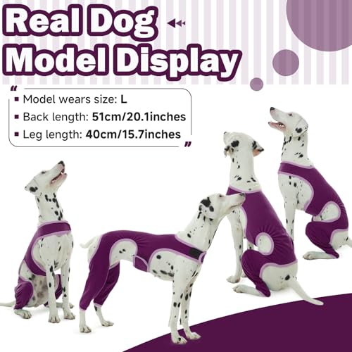 Hjyokuso Hundebody Nach Op mit Bein, Wundschutzanzüge für Hunde, Hinterbeinschutz, Anti-Wundlecken Body, E-Kragen Alternative, Hundeschenkel Schutz Bodysuit