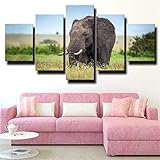 【Toile moderne de haute qualité】： Impression d'art mural sur toile d'avion haute définition, peinture de paysage artistique imprimée sur toile. Fabriqué à partir d'encre écologique de haute qualité, imperméable, résistante aux UV et difficile à décolorer. La couleur est belle et le lustre est brillant.