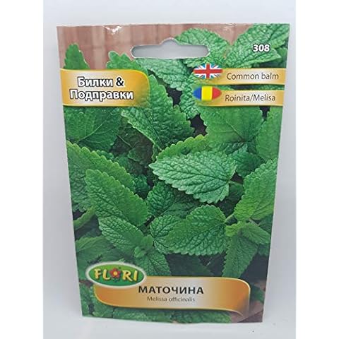 Lemon Balm Seeds - Melissa officinalis Herb Cover