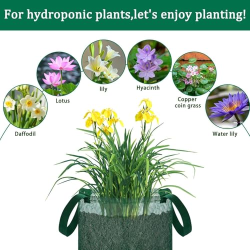 Cesta para plantas acuáticas y maceta hidropónica de rejilla para fresas y jardín 8
