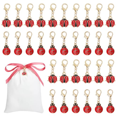XRVRILE 32 Pièces Porte-Clés Coccinelle Mini Porte-Bonheur, 2 Designs, Petits Porte-Clés...
