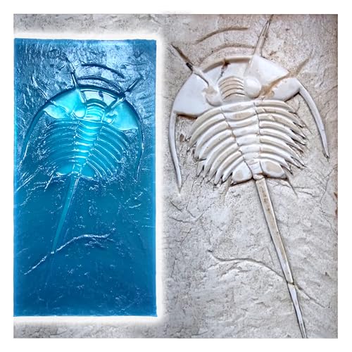 Polyurethane Mat Stamp TRILOBITE | Concrete Cement Stamping Pattern Imprint Decorative Texture Form Mold Tool Texturing