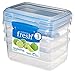 Sistema Fresh Collection Food Storage Containers, 33.8 Ounce/4.2 Cup, 3 Pack, Clear/Marine Blue