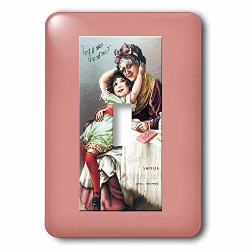 Interrupteur simple 3dRose Huylers pour remplacer plaque blanche