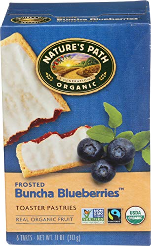 Natures Path Organic Toaster Pastries Blueberry Frosted -- 11 oz