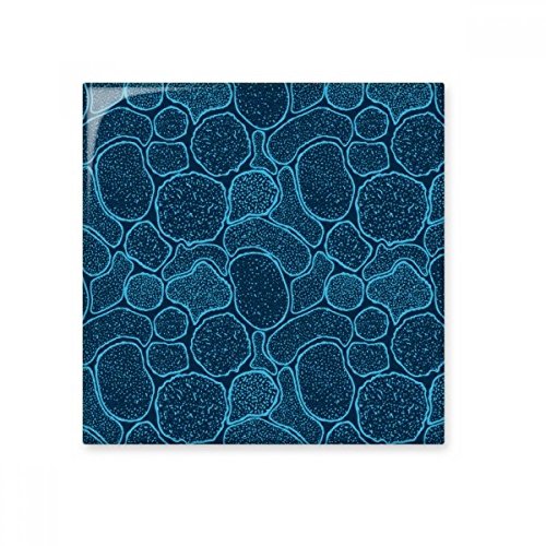 Carreau de céramique bleu avec structure biologique et cellules de microscope format small - 2