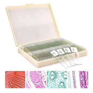 100 glazen messen voor microscoop, dieren, insecten, planten, bloemen, specimen, voor studenten, wetenschappelijke…