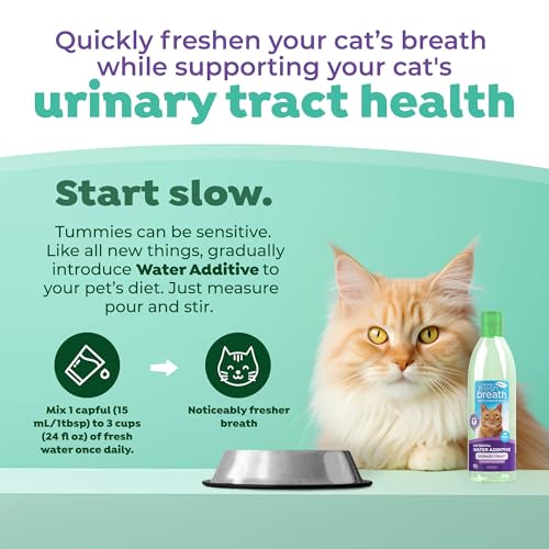 Image of TropiClean Fresh Breath Cat Dental Water Additive + Urinary Tract Support, with Cranberry Extract, Teeth Cleaning & Breath Freshener Solution, 16oz