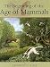 The Beginning of the Age of Mammals