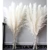 100cm-10pcs-White