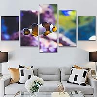 SIGNWIN 5 Panel Canvas Wall Art Group Jellyfish Marine Life Multicolor Photography Realism Tropical Ultra Whimsical for Home Decorations Ready to Hang - 60