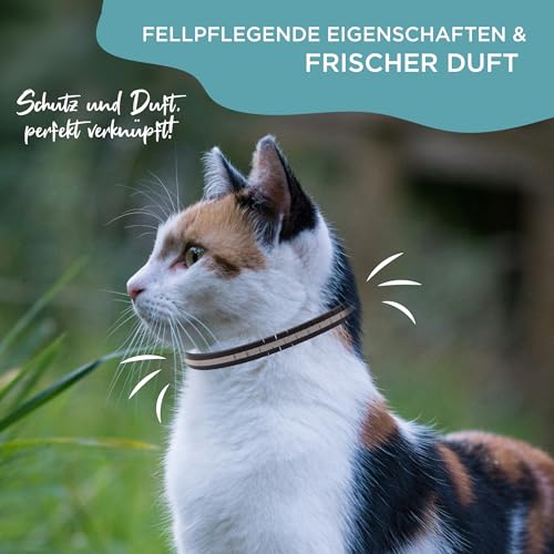 OptiPet x2 Ungezieferhalsband für Katzen | 4 Monate Schutz beiFlöhe Zecken Mücken Milben - reflektierend, für Katzen ab 12 Wochen | Flohhalsband Katzen/Zeckenhalsband für Zeckenschutz Katze