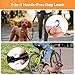 DAISTERN Fahrradleine für Hunde, 210° drehbar, Carbonfaser-Griff, stötdämpfende Feder, Stahlseil, Freihandleine für Hunde mit Aluminiumlegierungsklemme, Schnellmontagesystem