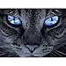 Produktbild MXJSUA DIY 5D Diamantmalerei Full Round Drill Kits Strass Bild Kunsthandwerk für Home Wall Decor Blaue Augen Schwarze Katze 24x32cm