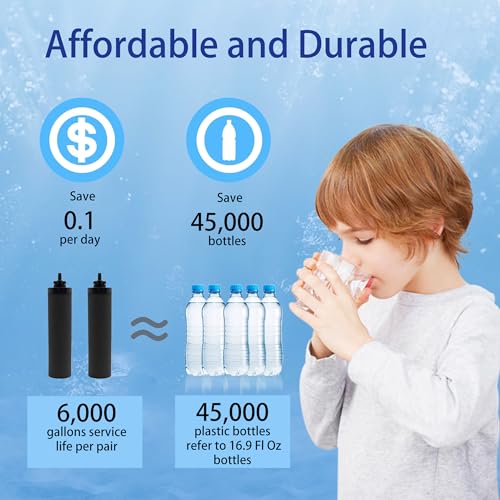 Image of Water Filter Replacement for Berkey BB9-2 Black Filters
