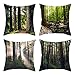 Epinki 4 Pack Fundas Cojines 40x40 Sofa, Fundas Cojin Tronco de Árbol Forestal Fundas Cojin Modernas Poliéster, Verde