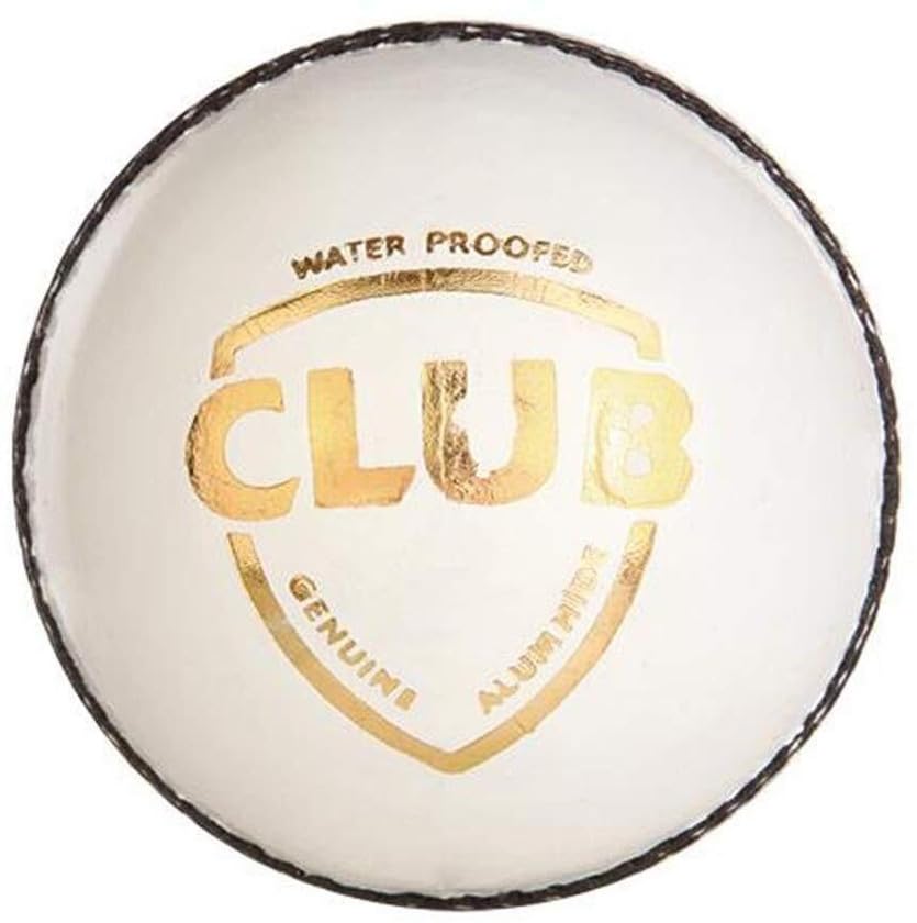 LABH TRADERS White Practice Cricket Leather Ball-picture-14